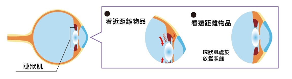 圖片6